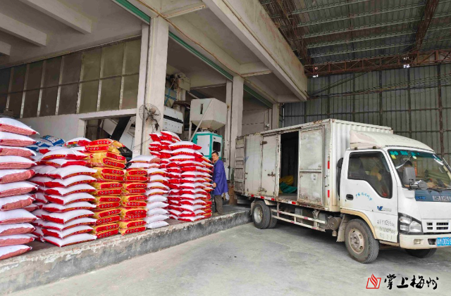 糧食加工行業(yè)迎來(lái)智能化轉(zhuǎn)型新浪潮 政策加持與技術(shù)創(chuàng)新雙輪驅(qū)動(dòng)