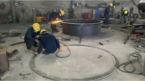 石家莊宏勝達(dá)新能源 大力士生物質(zhì)燃燒機(jī)推動(dòng)綠色能源